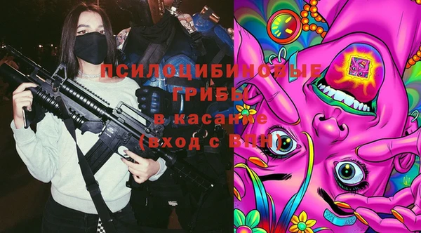 крисы Россошь