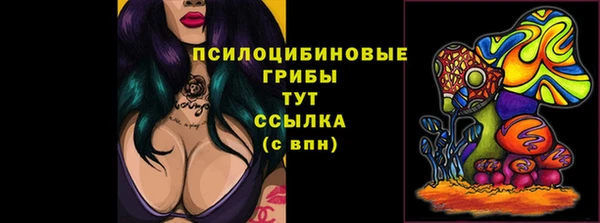 МДПВ Абдулино