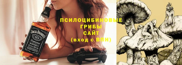МДПВ Абдулино